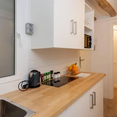 Apartament Antique Soul Ramblas *
